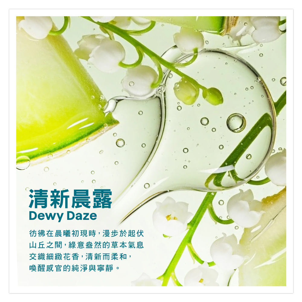 海岸香橙。Castal Citrono o清新檸檬揉合葡萄柚的柑橘香調,海風吹拂,帶你漫遊義大利阿瑪菲海岸。